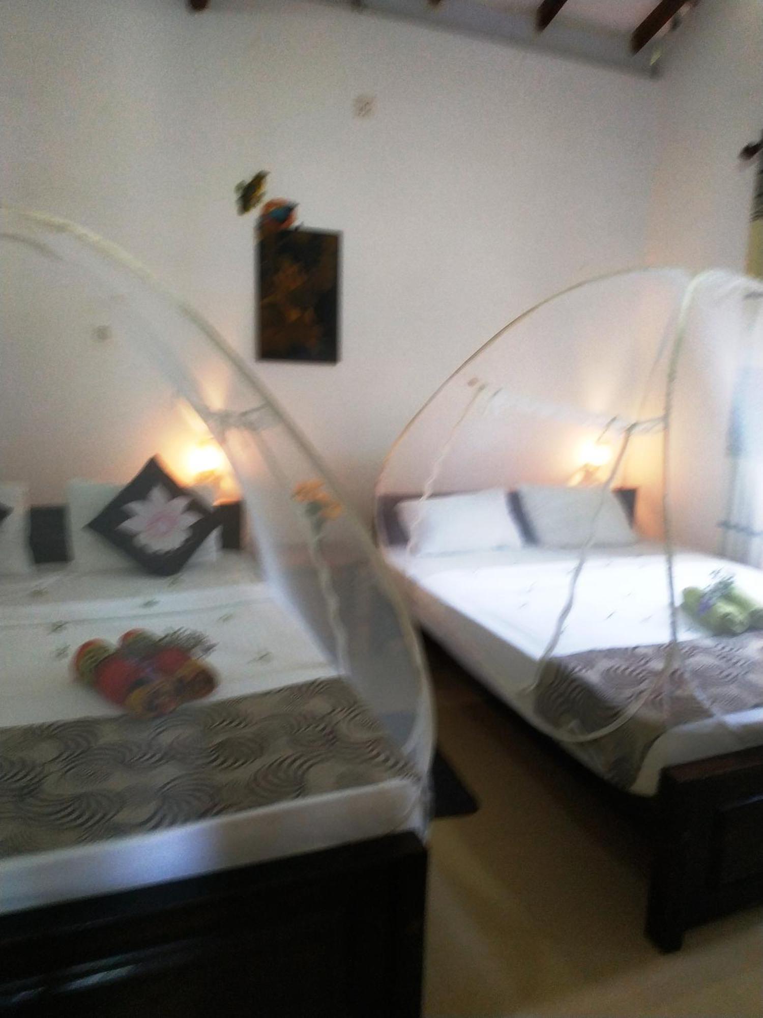 Greenwood Udawalawa Safari Resort Удавалаве Екстериор снимка