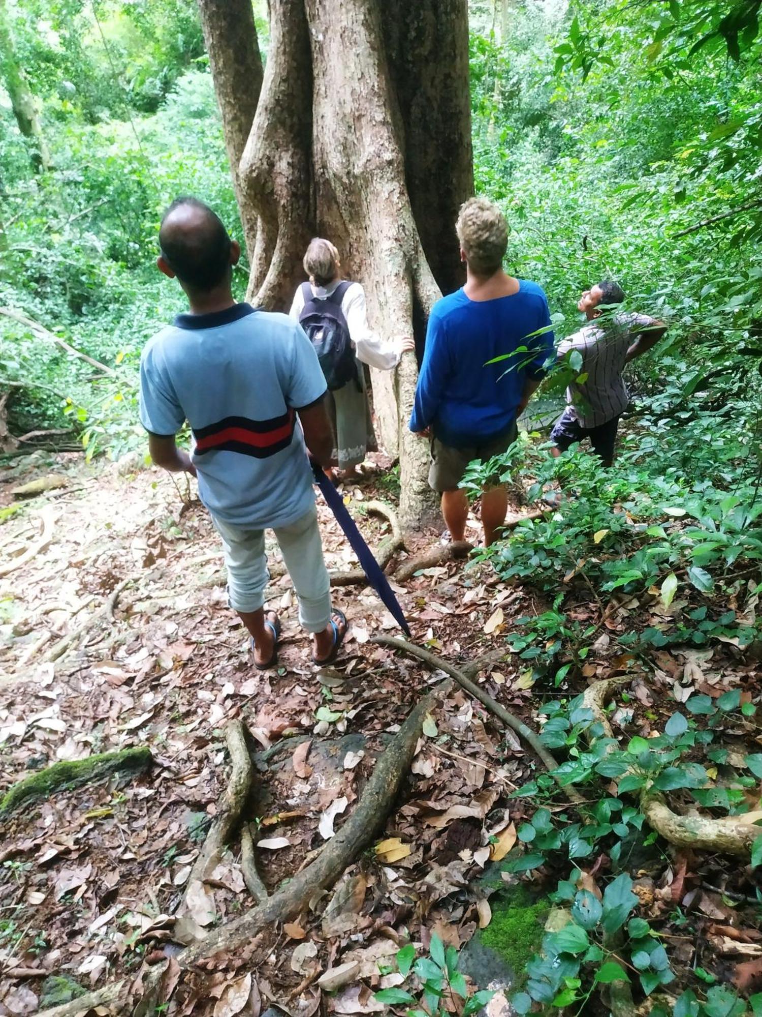 Greenwood Udawalawa Safari Resort Удавалаве Екстериор снимка