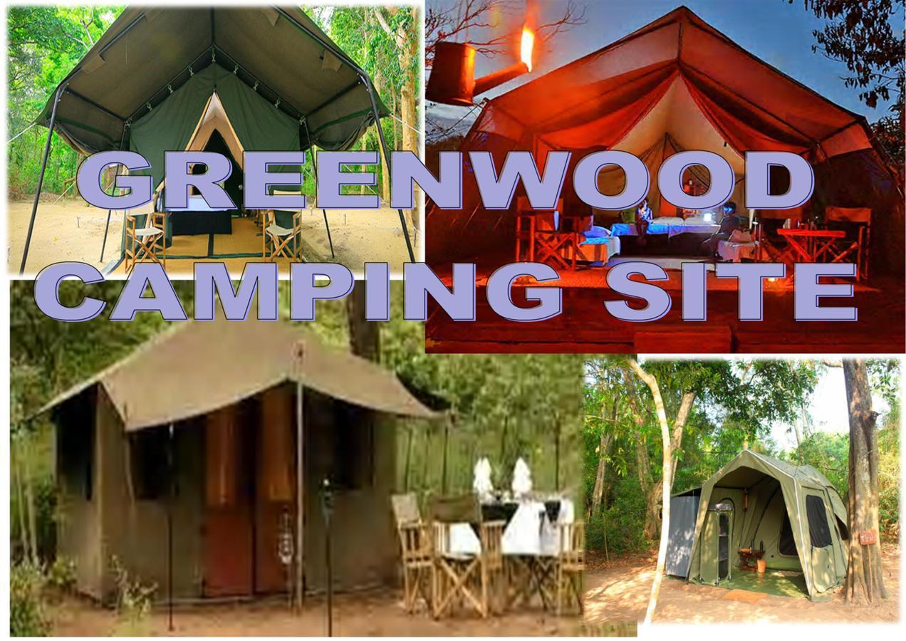 Greenwood Udawalawa Safari Resort Удавалаве Екстериор снимка
