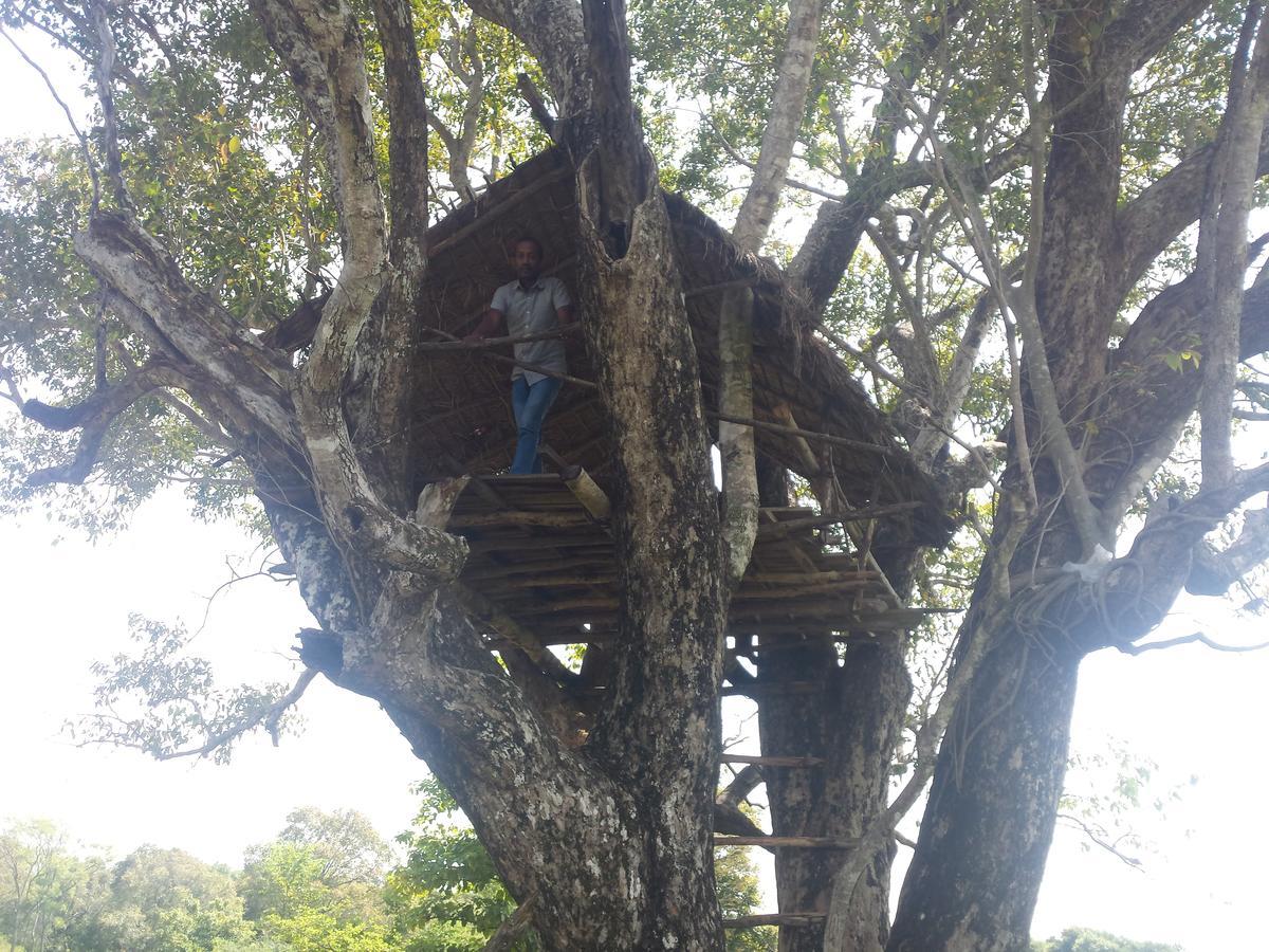 Greenwood Udawalawa Safari Resort Удавалаве Екстериор снимка