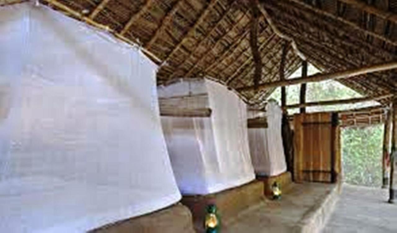 Greenwood Udawalawa Safari Resort Удавалаве Екстериор снимка