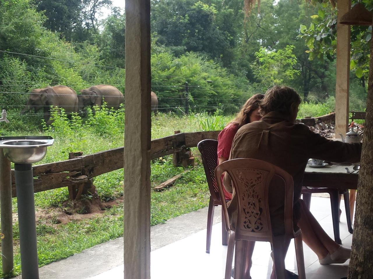 Greenwood Udawalawa Safari Resort Удавалаве Екстериор снимка