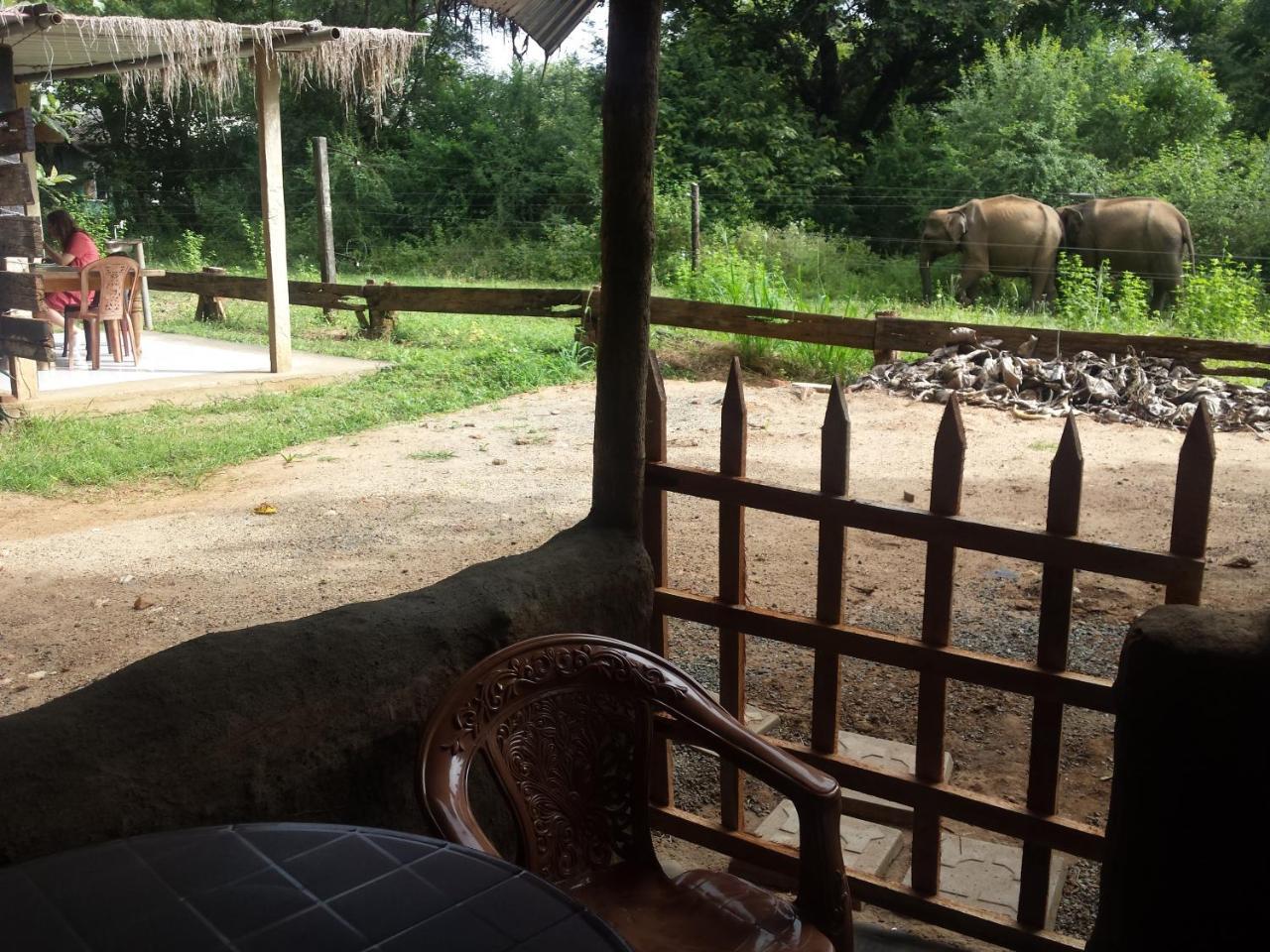 Greenwood Udawalawa Safari Resort Удавалаве Екстериор снимка