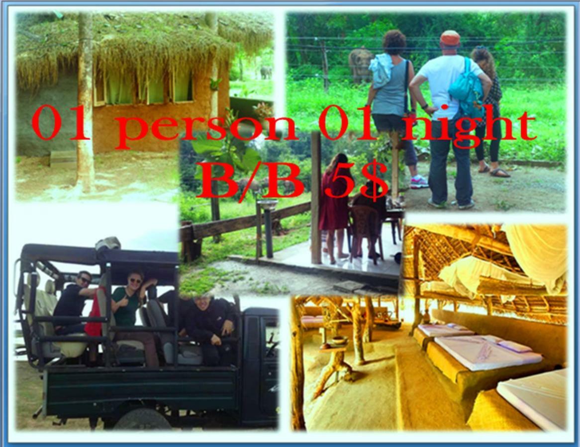 Greenwood Udawalawa Safari Resort Удавалаве Екстериор снимка